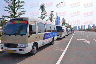 青島成立首個(gè)汽車(chē)租賃協(xié)會(huì)，行業(yè)有了“娘家”